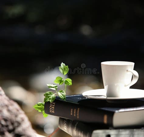 Holy Bible And Green Leaves And Teacup And Bud Vine Stock Image Image