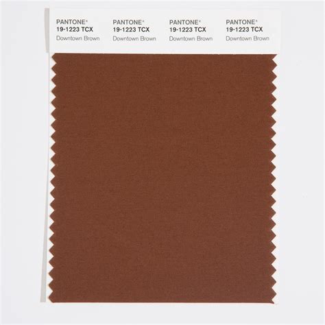 Pantone Tcx Swatch Card Downtown Brown Design Info