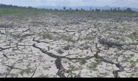 Waspada Tiga Daerah Di Indonesia Ini Terancam Kekeringan Bmkg