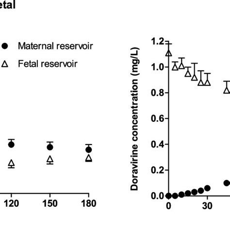 Placental Transfer Of Doravirine Determined With Ex Vivo Human Download Scientific Diagram