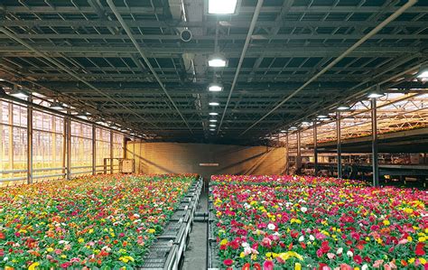 Freshlight, the future of cultivation! - U Gaat Bouwen | EN
