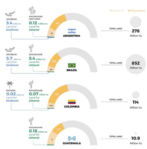 Biofuels In Emerging Markets Potential For Sustainable Production And