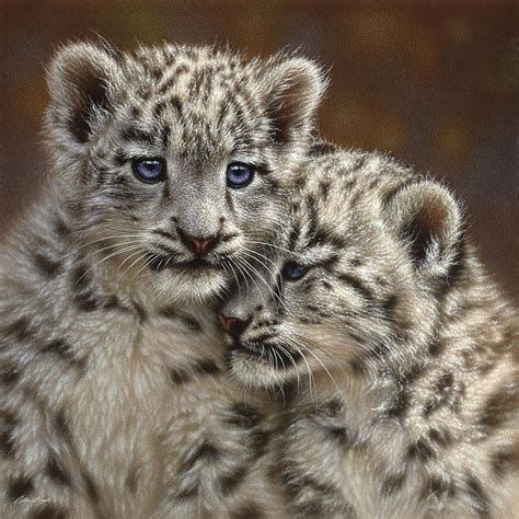 Snow Leopard Cubs - Playmates Mixed Media by Collin Bogle | Fine Art America