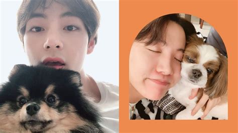 Bts Members Dogs Do The Members Of Bts Have Pets Karamastar