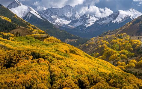 Pożółkłe drzewa na tle ośnieżonej góry Capitol Peak w Kolorado