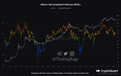 Where Are We In A Bull Bear Market Cryptoquant