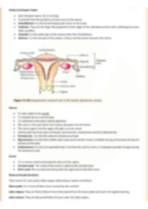 SOLUTION: Human reproduction imp diagrams - Studypool