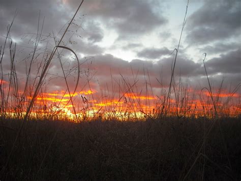 Way of the Buffalo: Early Sunset over Prairie