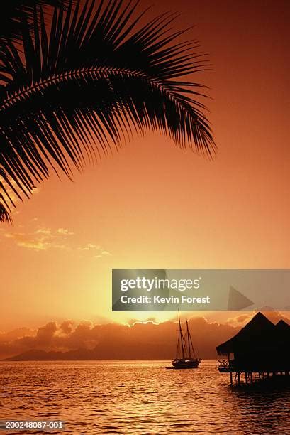 240 Tahiti Huts Stock Photos, High-Res Pictures, and Images - Getty Images