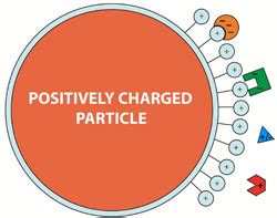 Anion Exchange Chromatography | Bio-Rad