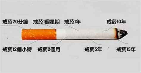 從你決定戒煙的那一刻開始「身體其實就有了變化」，看了這些結果終於秒懂戒菸的效果！