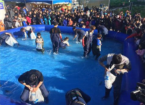 거제대구수산물축제 오는 16일~17일 개최 거제저널