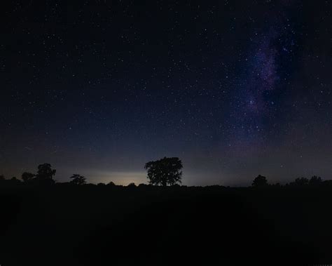 Silhouettes Trees Under Starry Night Sky · Free Stock Photo