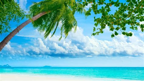 1366X768 Beach Wallpapers - Top Free 1366X768 Beach Backgrounds ...