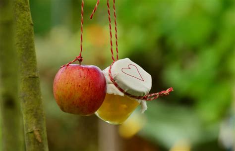 Kostenlose Foto Baum Natur Ast Bl Hen Frucht Sonnenlicht Blatt