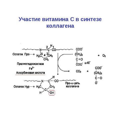 Витамин С Атоми- ключ к образованию коллагена