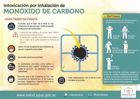 Riesgo De Intoxicaci N Por Mon Xido De Carbono