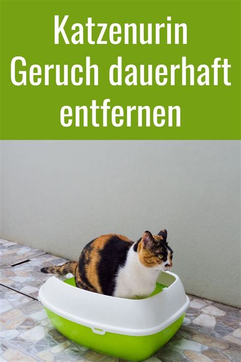 Katzenurin Geruch entfernen rückstandslos und bio Laundry basket