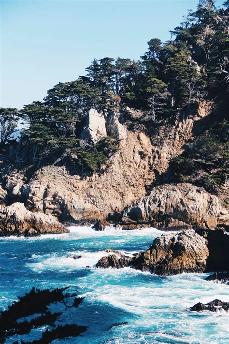 Point Lobos State Park | A Photo Journal — Beyond Ordinary Guides
