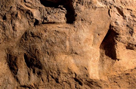 Labri Du Cap Blanc A Frieze Of Prehistoric Sculptures