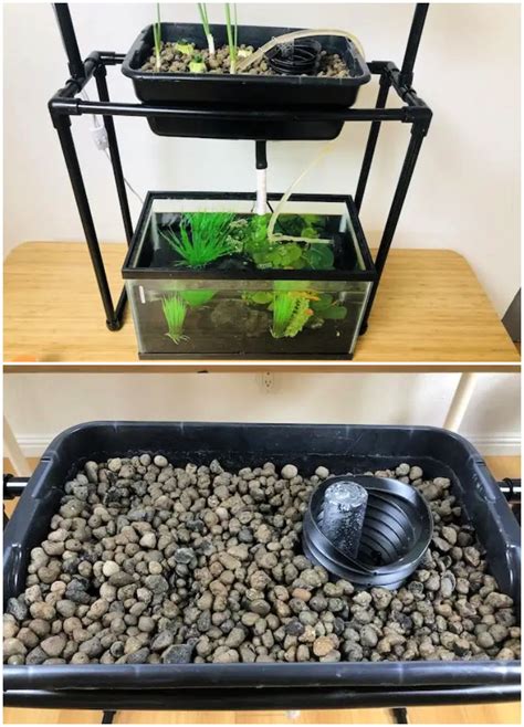 Useful Diy Aquaponics Systems And Plans Blitsy