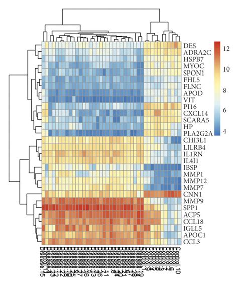 Heat Maps Of Differentially Expressed Genes Between Patients And Download Scientific Diagram