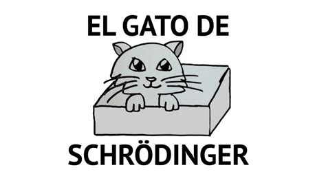 El Gato De Schrodinger Mi Profesor De Fisiclick