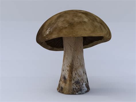 3d mushroom model