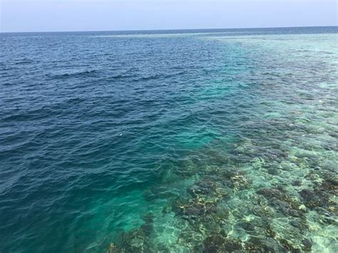 berau indonesia   places  visit tripadvisor