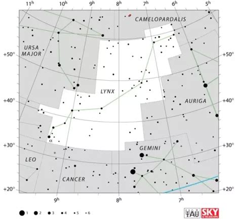 Lynx Constellation: Stars, Story, Facts, Location... – Constellation Guide