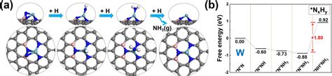 Molecular Nitrogen Induced Structural Evolution Of Single Transition