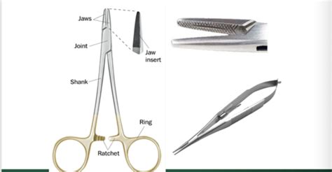 Surgical Instruments Flashcards Quizlet