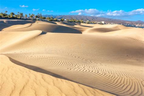 Parque Nacional De Dunas De Arena De Maspalomas Gran Canaria Canario