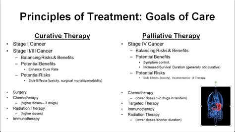 Principles Of Treatment Goals Of Care Curative Vs Palliative Youtube