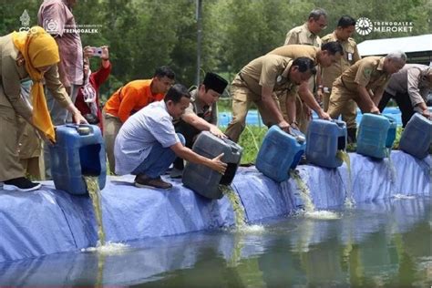 Produksi Perikanan Budi Daya Di Trenggalek Capai 2 323 98 Ton