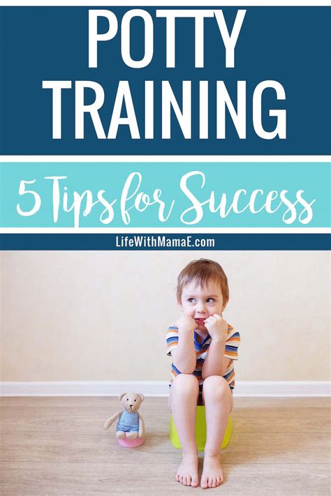 Potty Training: 5 Tips for Success - Life with Mama E