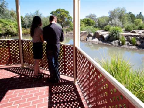 Tamworth Regional Botanic Gardens in North Tamworth | New South Wales ...