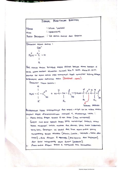 Jurnal Uji Asam Amino Dan Protein Biokimia Studocu