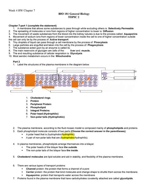 WEEK 4 HW CH 7 Worksheet Week 4 HW Chapter 7 BIO 181 General Biology