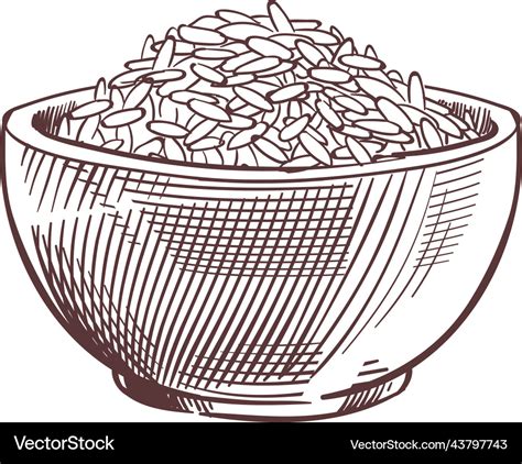 Rice bowl engraving grain full dish sketch Vector Image