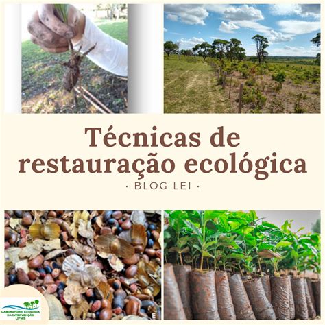 T Cnicas De Restaura O Ecol Gica