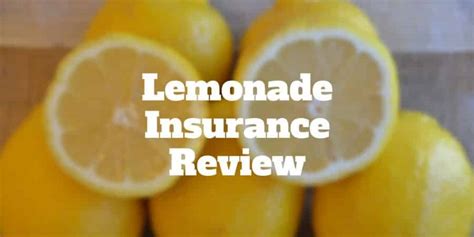 Lemonade Insurance Review Renters And Home Insurance From 5 Investormint