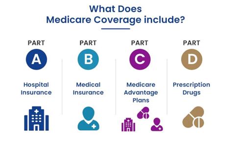 Understanding Your Medicare Plan Keys To Managing Health And Wellness Globalbiz Outlook