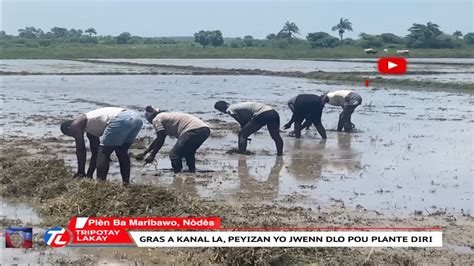 Tr B N Nouv L Gras A Kanal Wanament Lan Dyaspora Te Envesti Peyizan