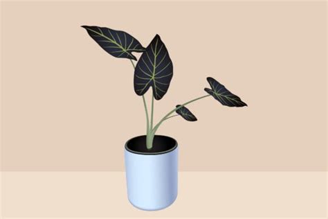 Indoor Plant Vector Illustration Graphic By Ghagra · Creative Fabrica