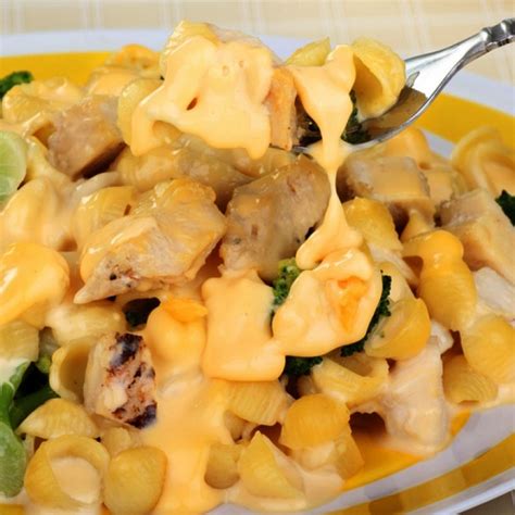 Chicken And Macaroni Recipe Recipes Macaroni Recipes How To Cook Pasta