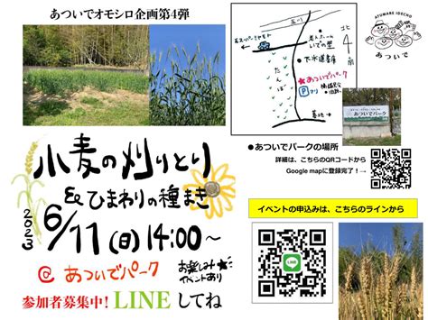 【京田辺市・精華町・木津川市】今度の週末（611）は井手町で小麦の刈り取り体験をしてみませんか？ 号外net 京田辺市・木津川市・精華町