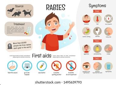 21,888 Rabies Images, Stock Photos, 3D objects, & Vectors | Shutterstock