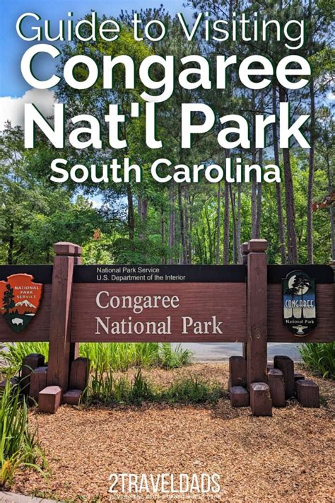 Visiting Congaree National Park: South Carolina Swamp Magic!