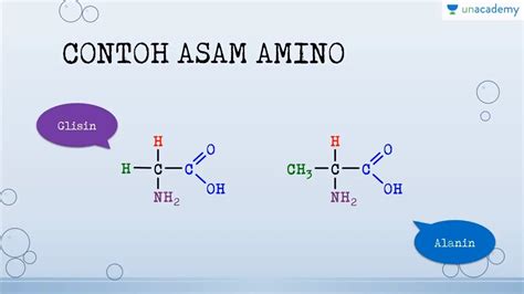 Struktur Asam Amino Kimia Sbmptn Un Sma Youtube